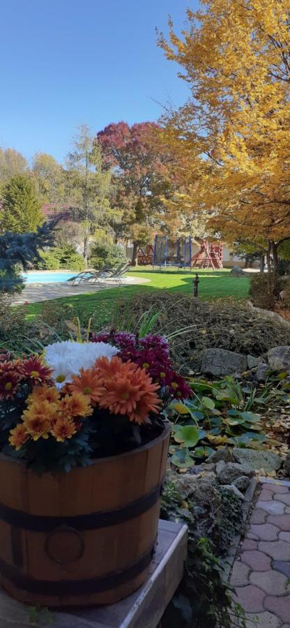 Kenguru Panzio Hotel Hodmezovasarhely